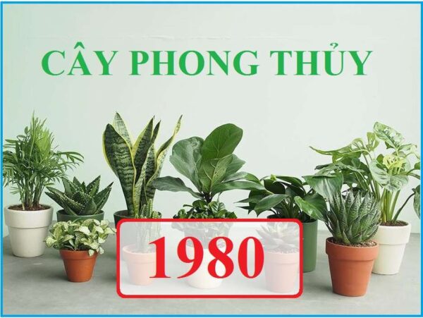 [Bật mí] Tuổi canh thân trồng cây gì để rước tài lộc vào nhà - Từ Điển Sức Khỏe
